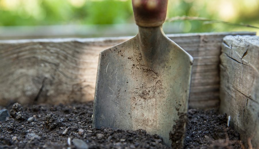 Een klimaatbestendige tuin/balkon? Met deze tips kunt u gelijk aan de slag!