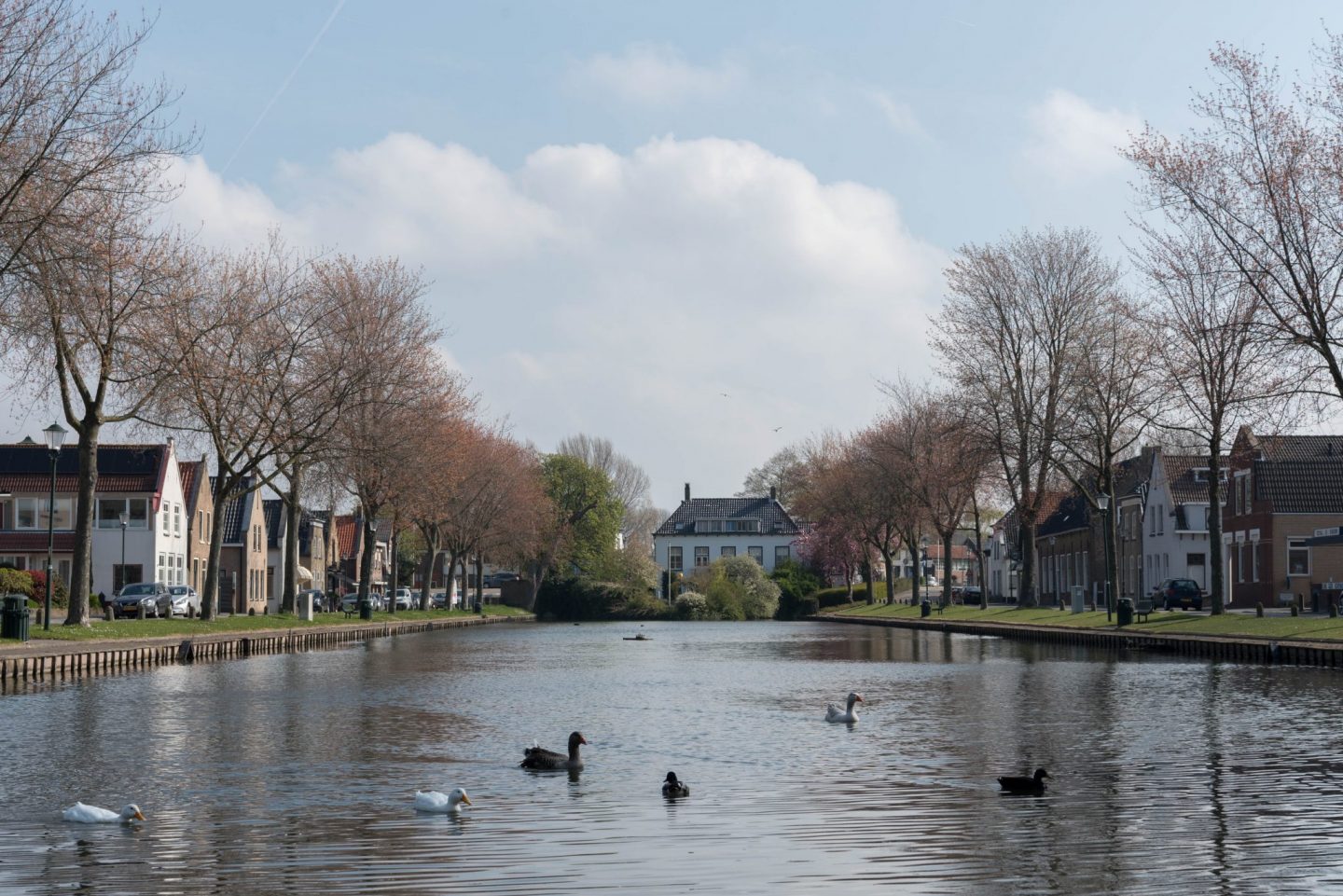 Wonen en werken in  een veilige, gezonde en duurzame leefomgeving