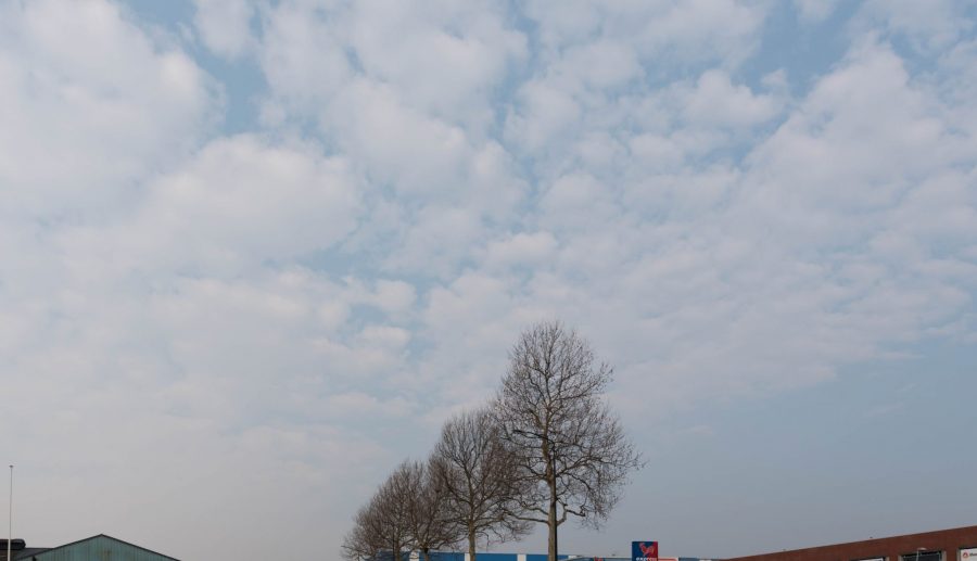 Mogelijk meer stankoverlast in Alblasserdam door extra maatregelen bedrijf