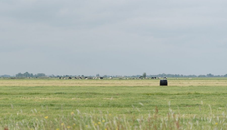 Is een stalbrand te voorkomen?