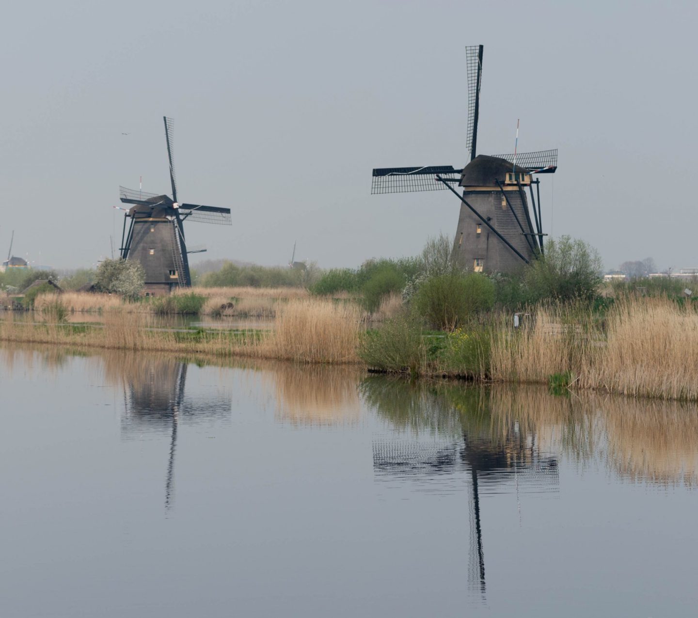 Alblasserdam 2024