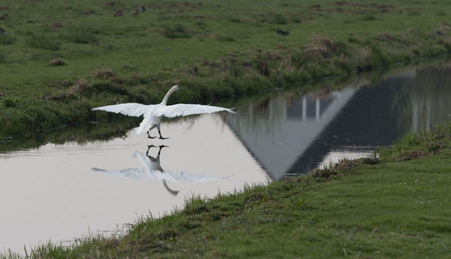 Veel vragen over zwem- en slootwater rondom Chemours