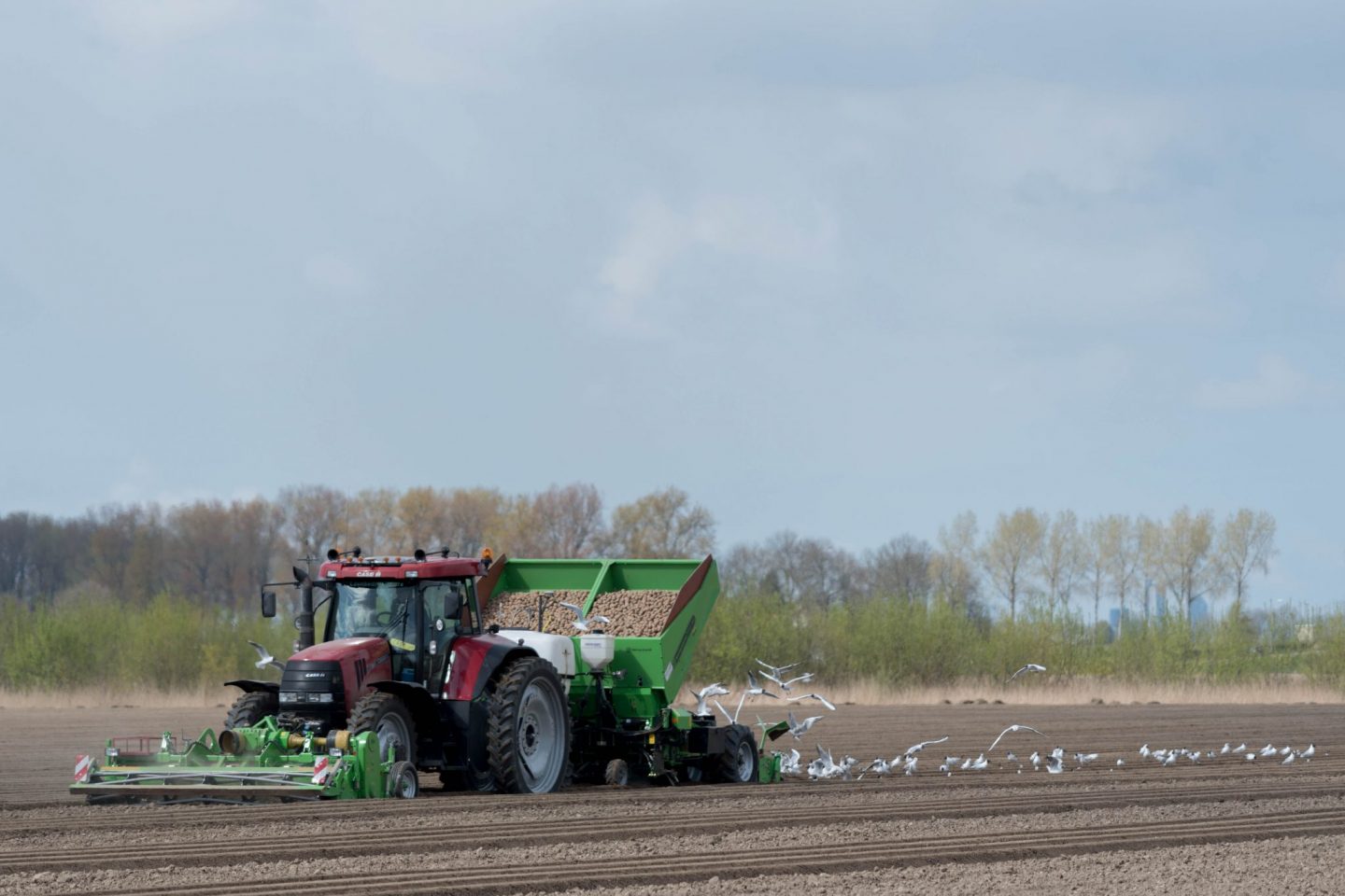 Hoeksche Waard 2022