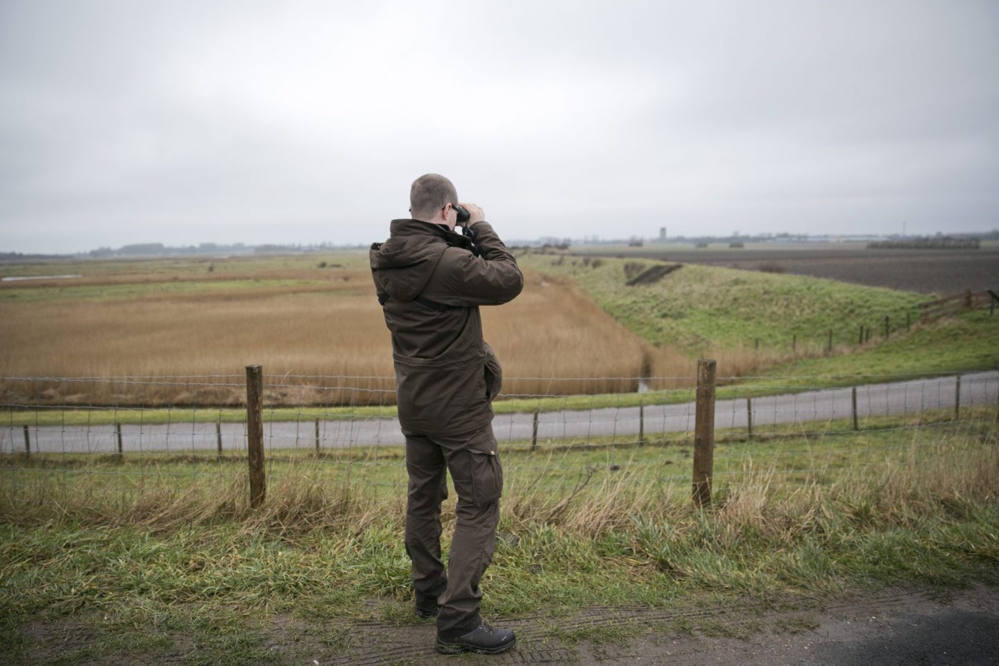 Sherlock Holmes in de polder 