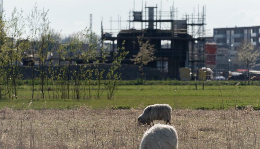 Nieuw: uitgebreide handreiking Milieu & Bouwen in het omgevingsplan