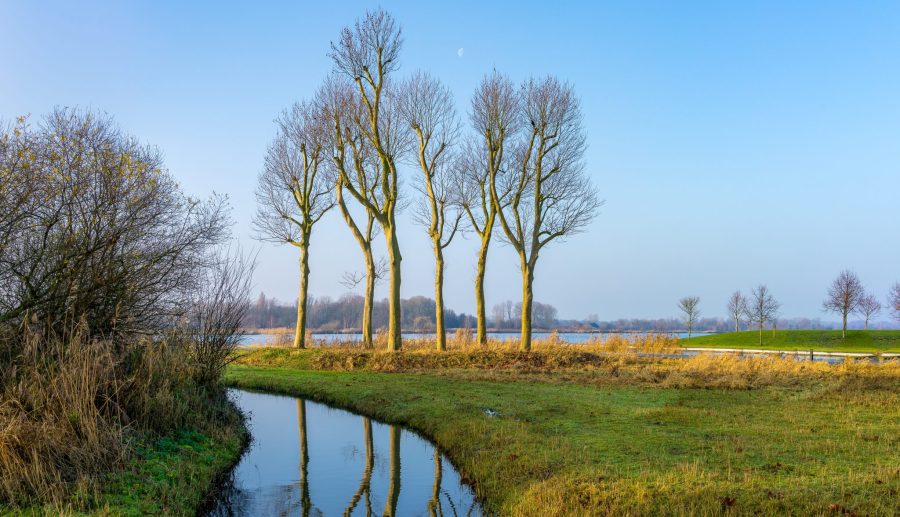 Hoe bevielen de eerste 100 dagen Omgevingswet?