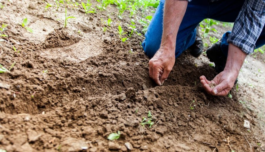 Ashland kan grondwatervervuiling wijk Nederhoven aanpakken